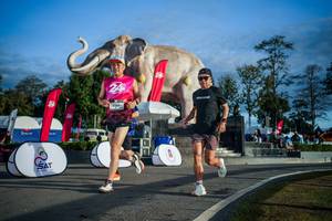 BIB: 
                            <button type="button" onclick="openModal(26541684)" class="btn btn-primary btn-sm float-right btn-popup" data-toggle="modal" data-target=".modal-high-quality">
                        <i class="fas fa-shopping-cart"></i> Add to Cart
                    </button>
                                            <button type="button" onclick="isThisMe(26541684, true)" class="btn btn-success btn-sm float-right btn-popup btn-isme hidden" data-toggle="tooltip" data-placement="bottom" title="นี่คือรูปของคุณใช่ไหม คลิกที่นี่เพื่อเอาเข้าอัลบั้ม">
                        <i class="fas fa-plus"></i> Add to album
                    </button>
                    <button type="button" onclick="isThisMe(26541684, false)" class="btn btn-warning btn-sm float-right btn-popup btn-isnotme hidden">
                        <i class="fas fa-ban"></i> Remove from album
                    </button>